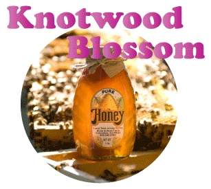 Knotwood Blossom Honey · 2 lb. Plastic