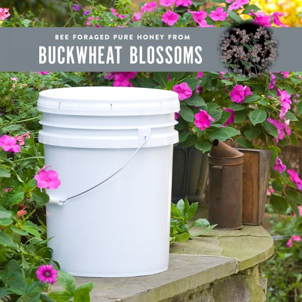 Buckwheat Blend Pail · 60 lb pail