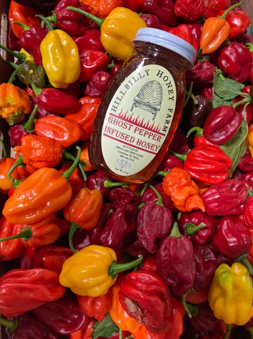 Ghost Pepper Honey · 1 lb. Glass