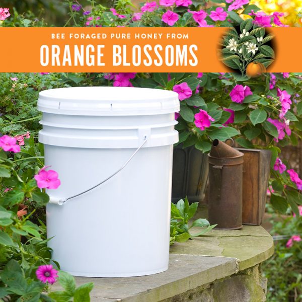 Orange Blossom Pail · 60 lb pail