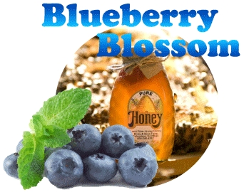 Blueberry Blossom Honey · 8 oz. Muth Glass Bottle