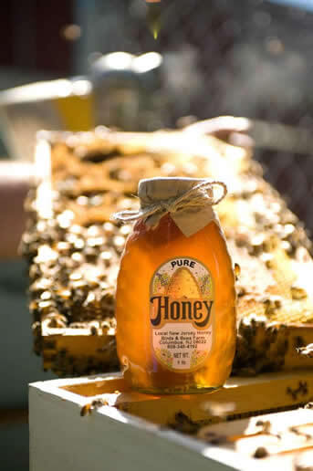 Varietal Honey · 5 lb. Plastic