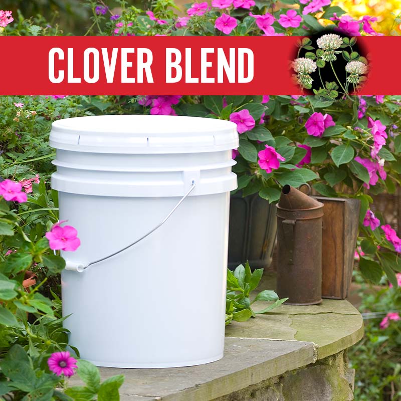 Clover Blend Pail · 60 lb pail